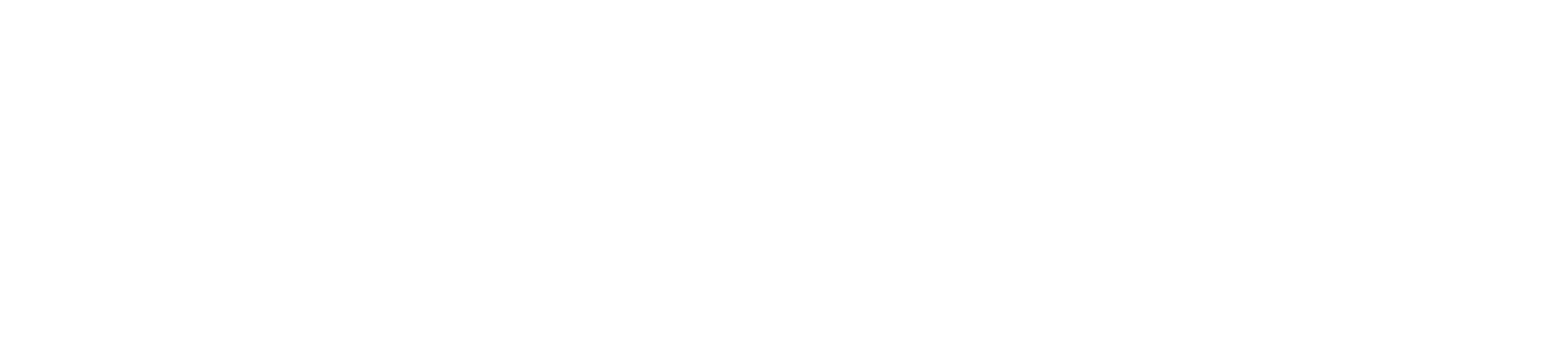 Barbora Krejcikova logo
